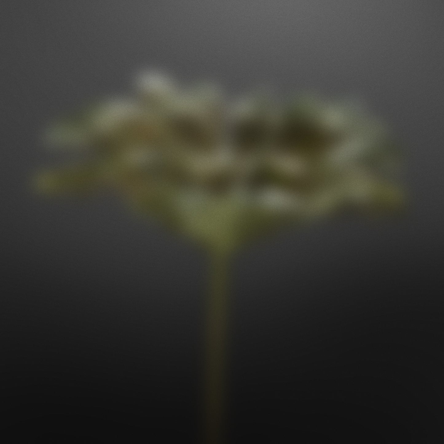 Out-of-focus bronze-toned sculpture photographed as an abstract composition on a dark backdrop